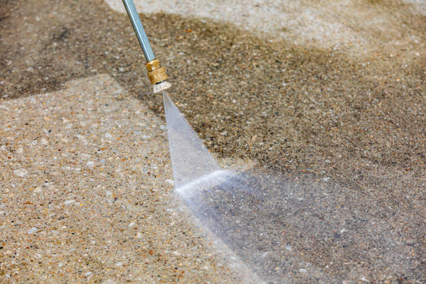 Best Dumpster Area Cleaning  in North New Hyde Park, NY